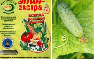 Эпин – инструкция по применению и способы использования