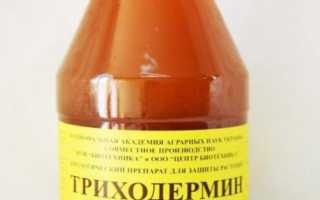«Триходермин» или «Фитоспорин»: что лучше, инструкция по применению, отзывы