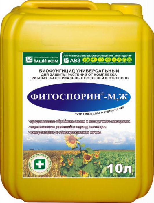 фитоспорин как применять и для чего