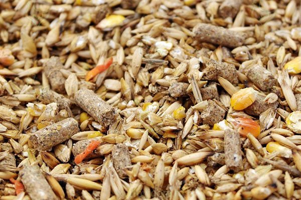 Комбикорм для кур