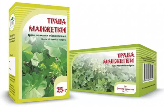 применение травы манжетки в народной медицине