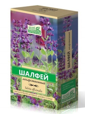 Трава шалфей. Описание, фото, лечебные свойства, от чего помогает, применение