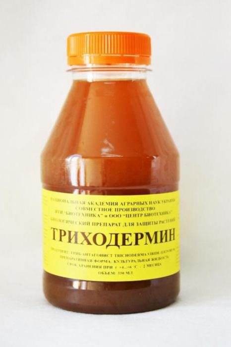 триходермин или фитоспорин что лучше